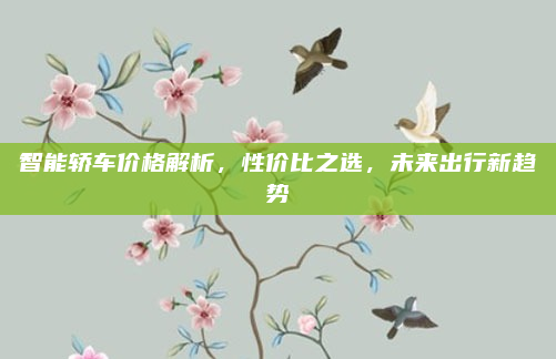 智能轿车价格解析，性价比之选，未来出行新趋势