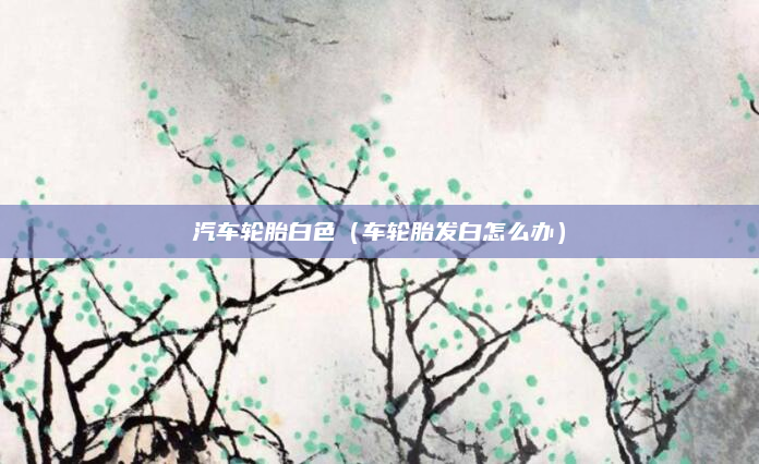 汽车轮胎白色(车轮胎发白怎么办)