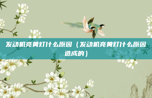 发动机亮黄灯什么原因(发动机亮黄灯什么原因造成的)