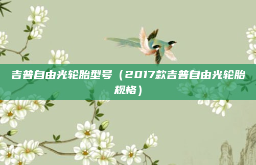 吉普自由光轮胎型号(2017款吉普自由光轮胎规格)