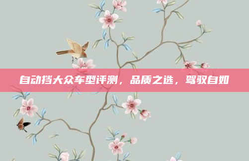 自动挡大众车型评测，品质之选，驾驭自如