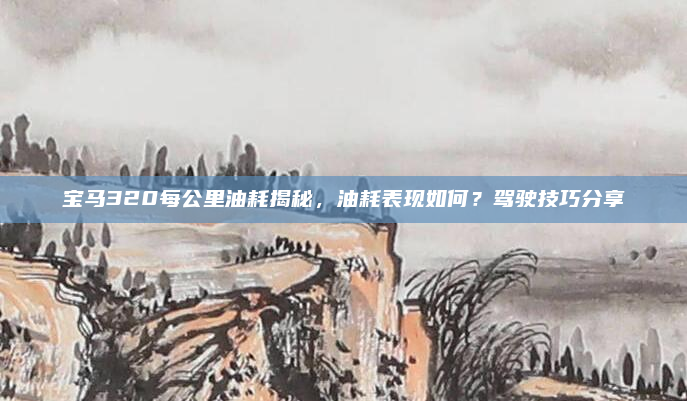 宝马320每公里油耗揭秘，油耗表现如何？驾驶技巧分享