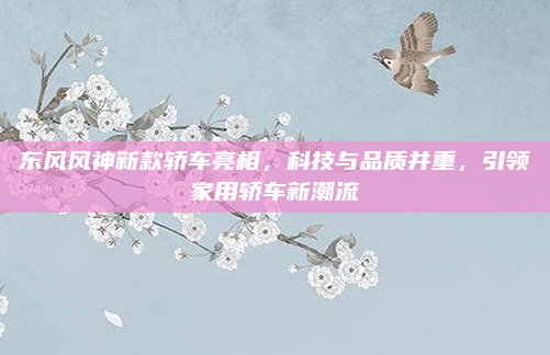 东风风神新款轿车亮相，科技与品质并重，引领家用轿车新潮流