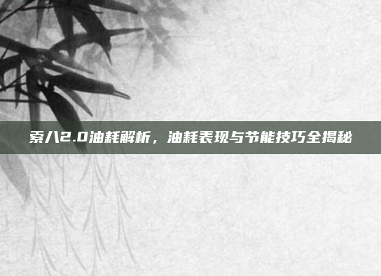 索八2.0油耗解析，油耗表现与节能技巧全揭秘