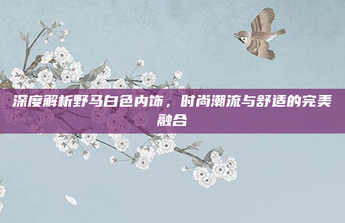 深度解析野马白色内饰，时尚潮流与舒适的完美融合