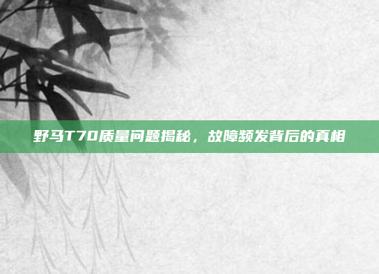 野马T70质量问题揭秘，故障频发背后的真相