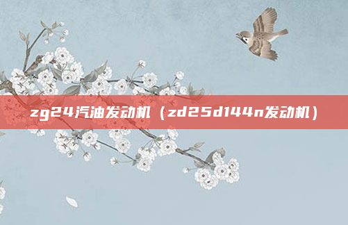 zg24汽油发动机（zd25d144n发动机）