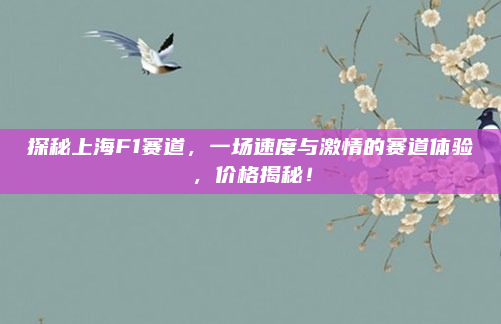 探秘上海F1赛道，一场速度与激情的赛道体验，价格揭秘！