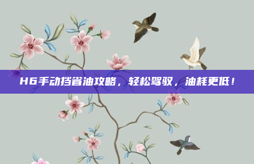 H6手动挡省油攻略，轻松驾驭，油耗更低！