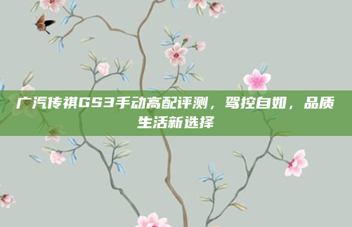 广汽传祺GS3手动高配评测，驾控自如，品质生活新选择