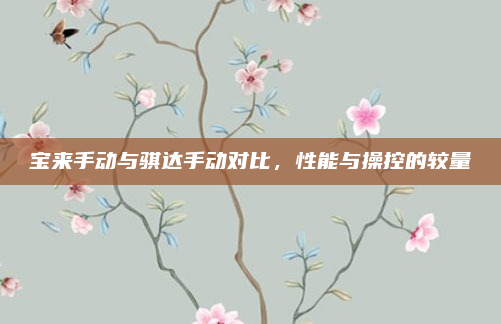 宝来手动与骐达手动对比，性能与操控的较量