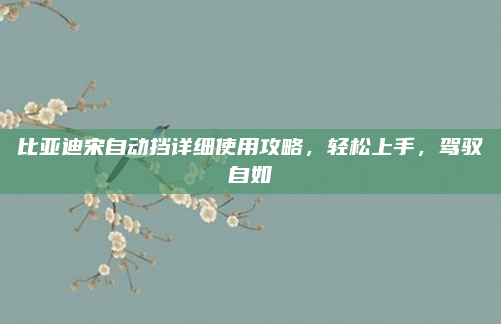 比亚迪宋自动挡详细使用攻略，轻松上手，驾驭自如