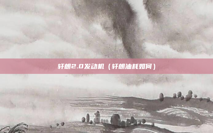 轩朗2.0发动机(轩朗油耗如何)