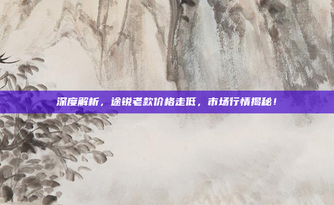 深度解析，途锐老款价格走低，市场行情揭秘！