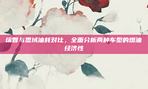 缤智与思域油耗对比,全面分析两种车型的燃油经济性