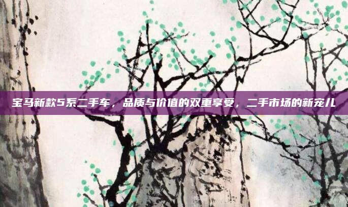 宝马新款5系二手车，品质与价值的双重享受，二手市场的新宠儿