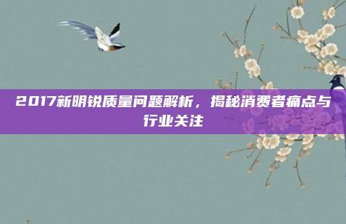 2017新明锐质量问题解析，揭秘消费者痛点与行业关注