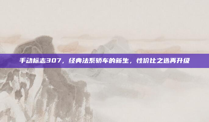 手动标志307,经典法系轿车的新生,性价比之选再升级