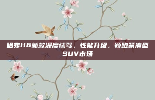 哈弗H6新款深度试驾,性能升级,领跑紧凑型SUV市场