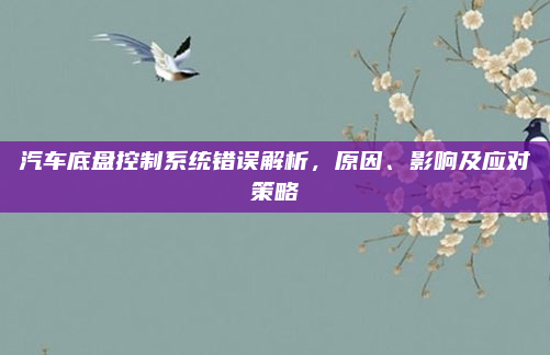 汽车底盘控制系统错误解析,原因、影响及应对策略