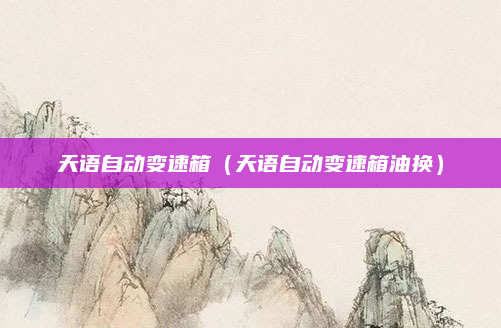 天语自动变速箱(天语自动变速箱油换)