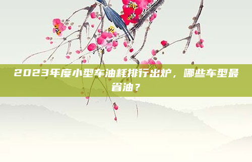 2023年度小型车油耗排行出炉，哪些车型最省油？