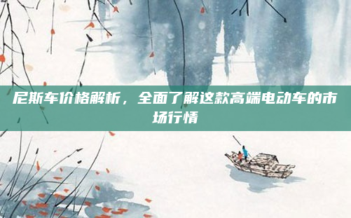 尼斯车价格解析，全面了解这款高端电动车的市场行情