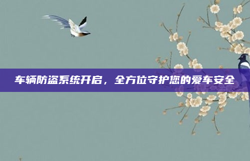 车辆防盗系统开启，全方位守护您的爱车安全