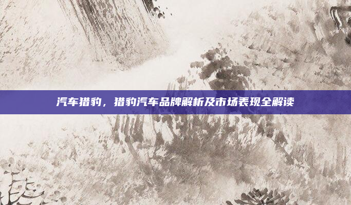 汽车猎豹,猎豹汽车品牌解析及市场表现全解读