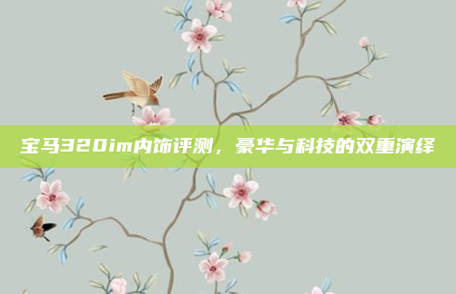 宝马320im内饰评测，豪华与科技的双重演绎