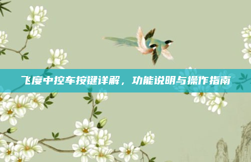 飞度中控车按键详解，功能说明与操作指南