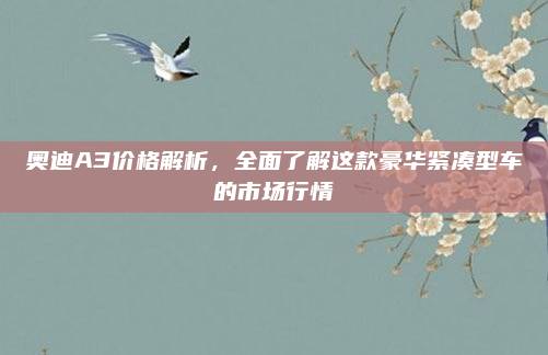 奥迪A3价格解析，全面了解这款豪华紧凑型车的市场行情