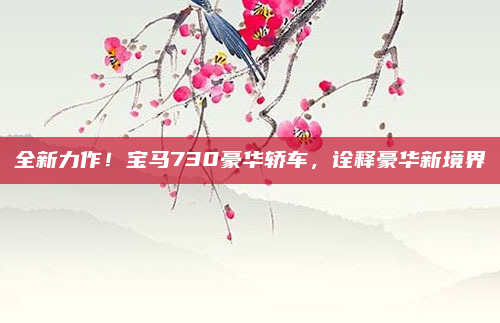 全新力作！宝马730豪华轿车，诠释豪华新境界