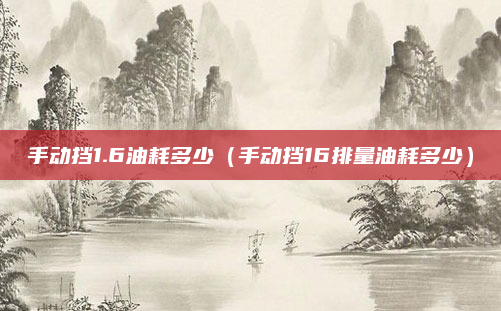 手动挡1.6油耗多少（手动挡16排量油耗多少）