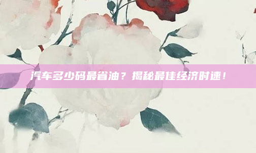 汽车多少码最省油?揭秘最佳经济时速!