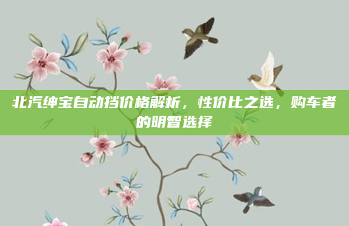 北汽绅宝自动挡价格解析,性价比之选,购车者的明智选择