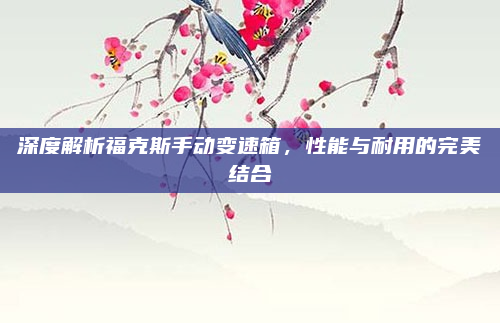 深度解析福克斯手动变速箱，性能与耐用的完美结合