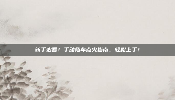 新手必看！手动档车点火指南，轻松上手！