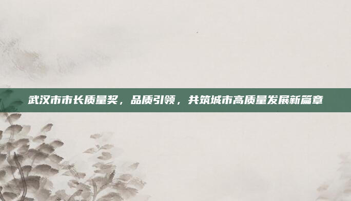 武汉市市长质量奖,品质引领,共筑城市高质量发展新篇章