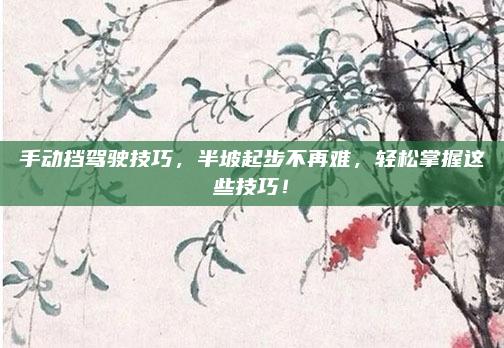 手动挡驾驶技巧，半坡起步不再难，轻松掌握这些技巧！