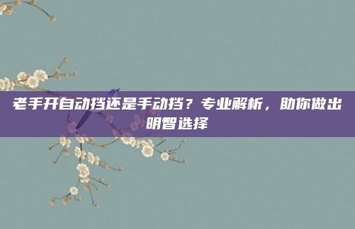 老手开自动挡还是手动挡？专业解析，助你做出明智选择