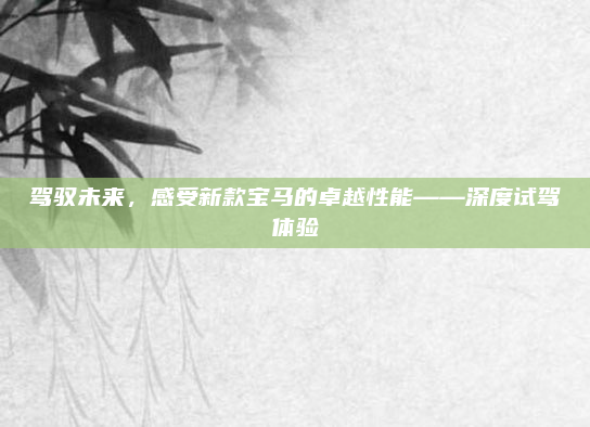 驾驭未来，感受新款宝马的卓越性能——深度试驾体验