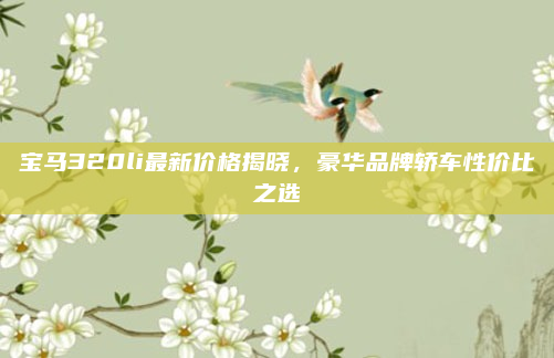 宝马320li最新价格揭晓，豪华品牌轿车性价比之选