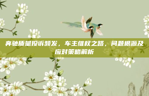 奔驰质量投诉频发，车主维权之路，问题根源及应对策略解析