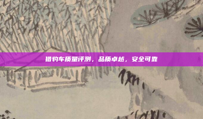 猎豹车质量评测，品质卓越，安全可靠