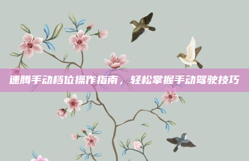 速腾手动档位操作指南，轻松掌握手动驾驶技巧