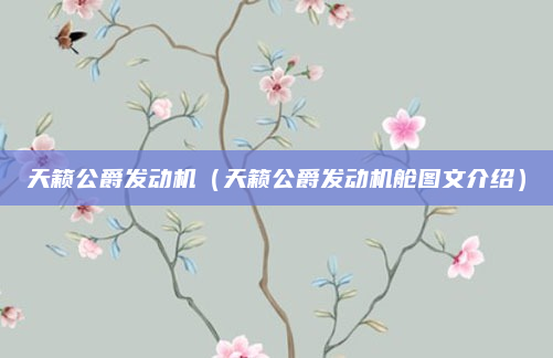 天籁公爵发动机(天籁公爵发动机舱图文介绍)