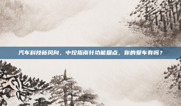汽车科技新风向，中控指南针功能盘点，你的爱车有吗？