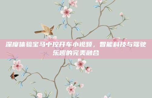 深度体验宝马中控开车小视频，智能科技与驾驶乐趣的完美融合