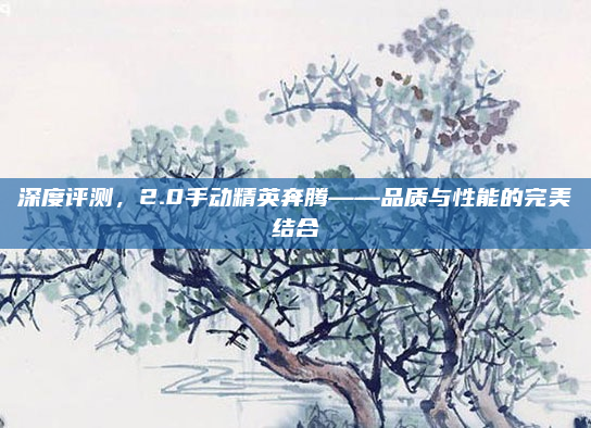 深度评测，2.0手动精英奔腾——品质与性能的完美结合